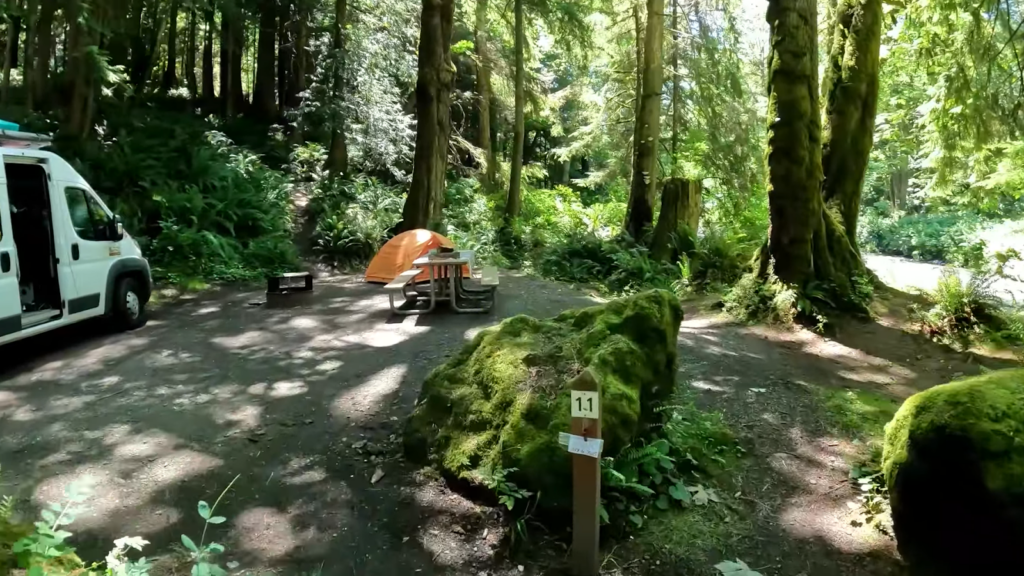 tent, white car, bushes and trees in the forest