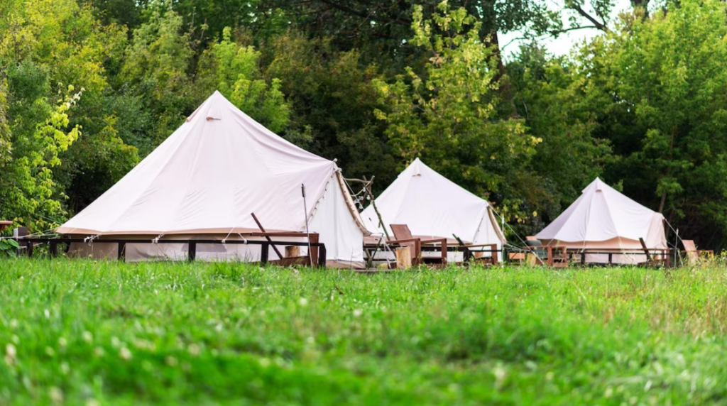 white tents in the park, trees near it