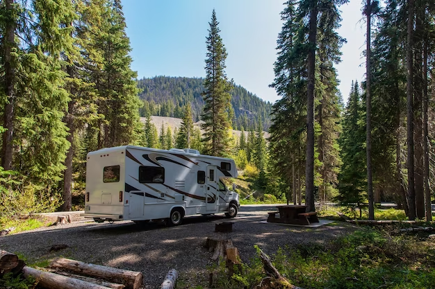 The van is standing in the mountains