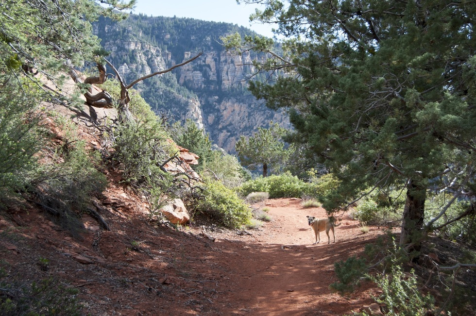 Schnebly Hill Road, mountain view