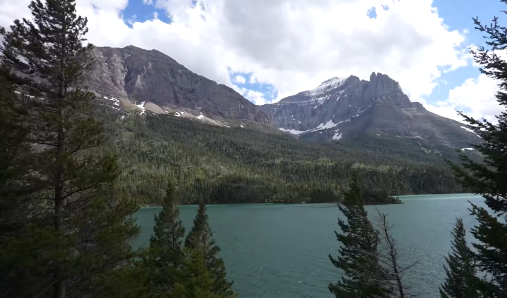 trees, river above, iced mountains far away