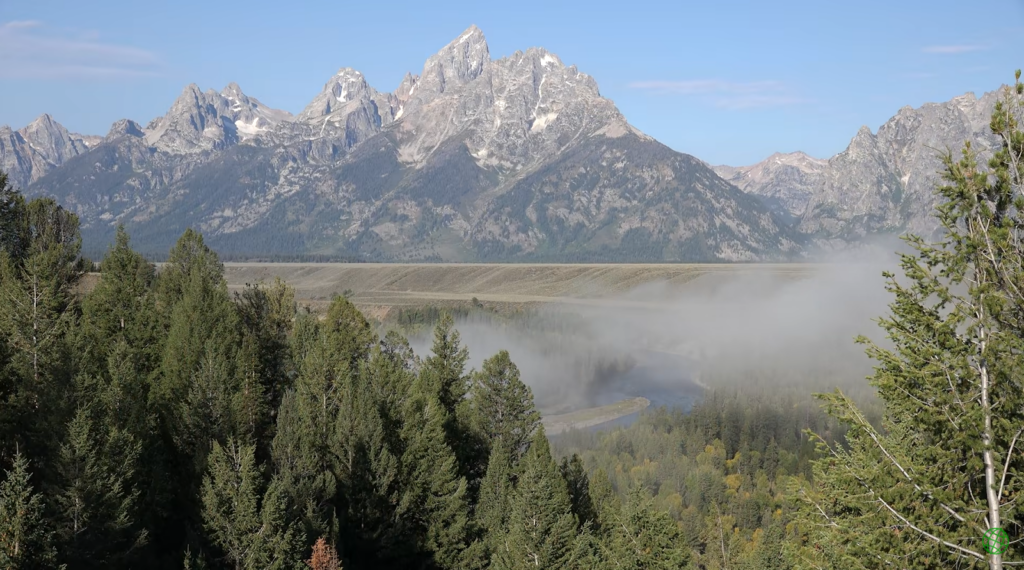 trees and fog above it, fields under mountains